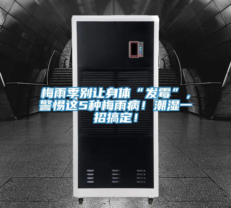 梅雨季別讓身體“發(fā)霉”，警惕這5種梅雨??！潮濕一招搞定！