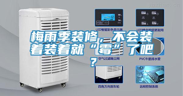梅雨季裝修，不會裝著裝著就“霉”了吧？