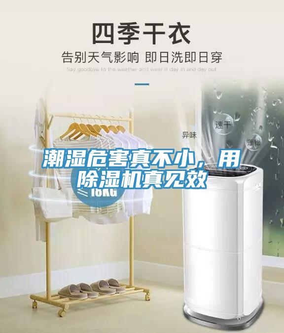 潮濕危害真不小，用除濕機真見效