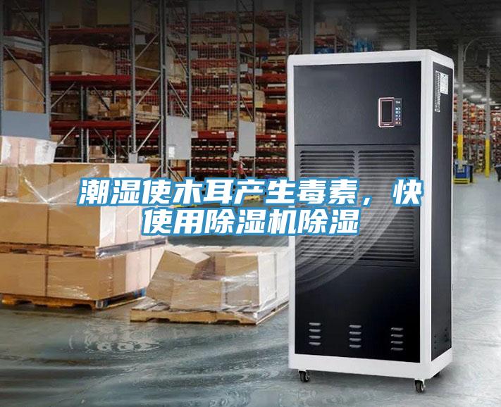 潮濕使木耳產(chǎn)生毒素，快使用除濕機除濕