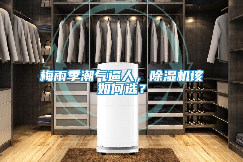梅雨季潮氣逼人，除濕機(jī)該如何選？