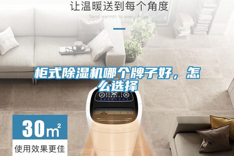 柜式除濕機(jī)哪個(gè)牌子好，怎么選擇