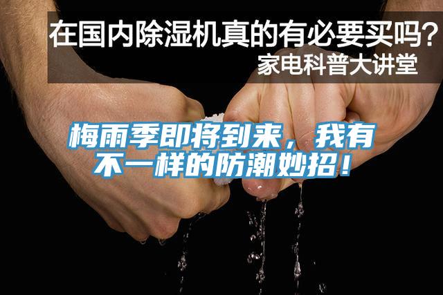 梅雨季即將到來，我有不一樣的防潮妙招！