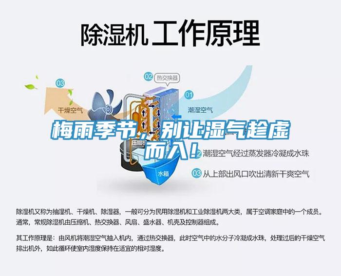 梅雨季節(jié)，別讓濕氣趁虛而入！