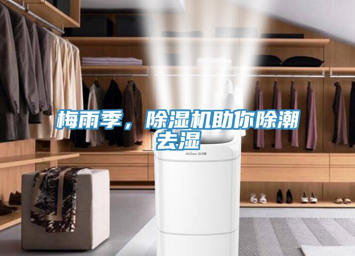 梅雨季，除濕機助你除潮去濕
