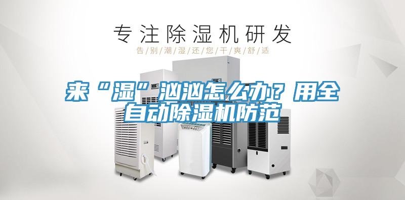 來“濕”洶洶怎么辦？用全自動除濕機(jī)防范