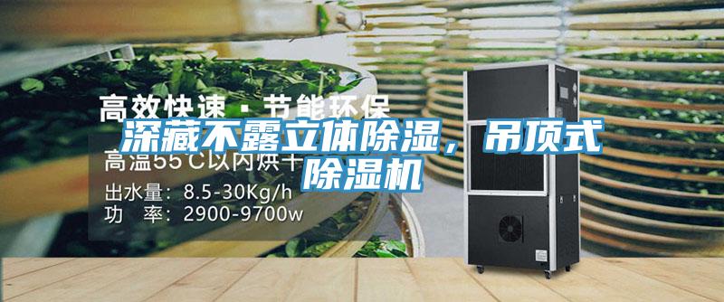 深藏不露立體除濕，吊頂式除濕機(jī)