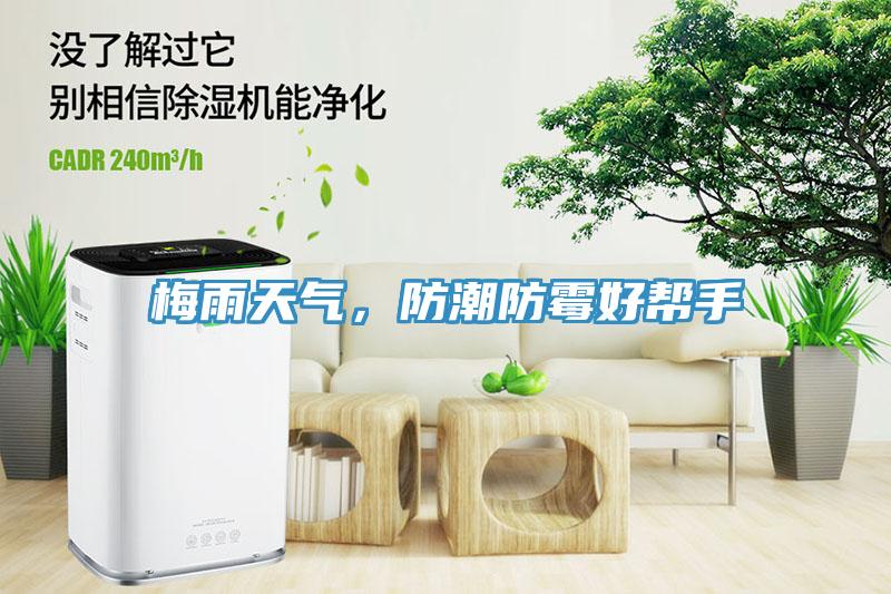 梅雨天氣，防潮防霉好幫手