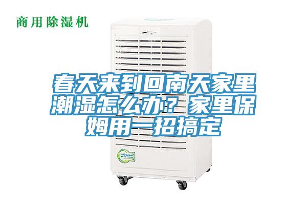 春天來到回南天家里潮濕怎么辦？家里保姆用一招搞定