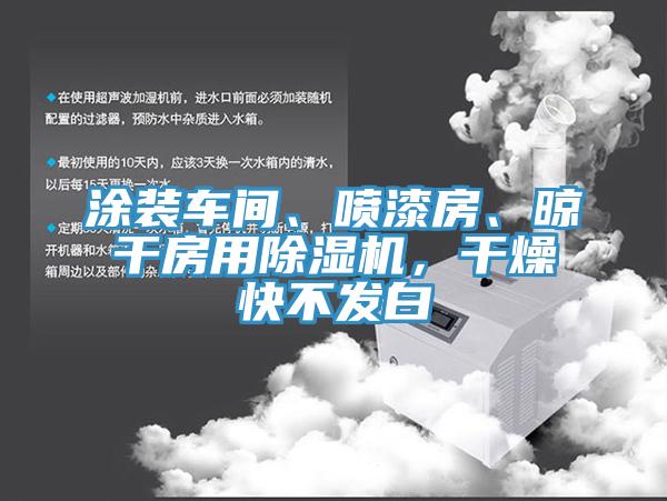 涂裝車間、噴漆房、晾干房用除濕機(jī)，干燥快不發(fā)白