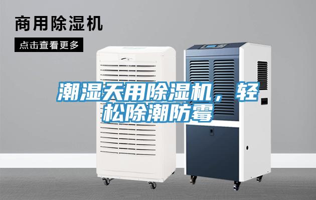 潮濕天用除濕機(jī)，輕松除潮防霉