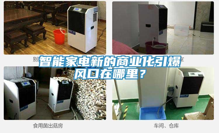 智能家電新的商業(yè)化引爆風口在哪里？