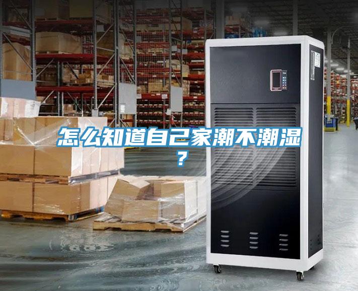 怎么知道自己家潮不潮濕？