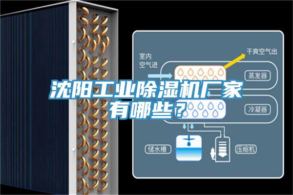 沈陽(yáng)工業(yè)除濕機(jī)廠家有哪些？