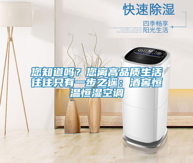 您知道嗎？您離高品質(zhì)生活往往只有一步之遙：酒窖恒溫恒濕空調(diào)
