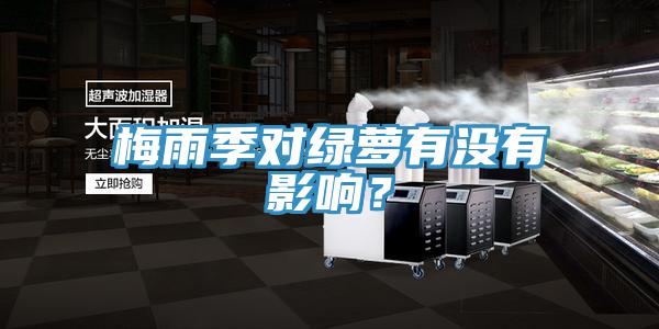 梅雨季對(duì)綠蘿有沒有影響？