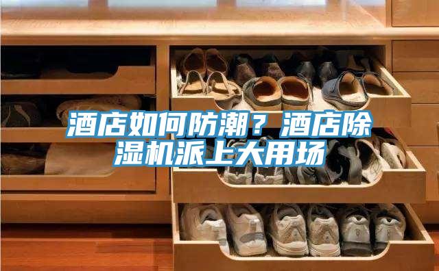 酒店如何防潮？酒店除濕機派上大用場