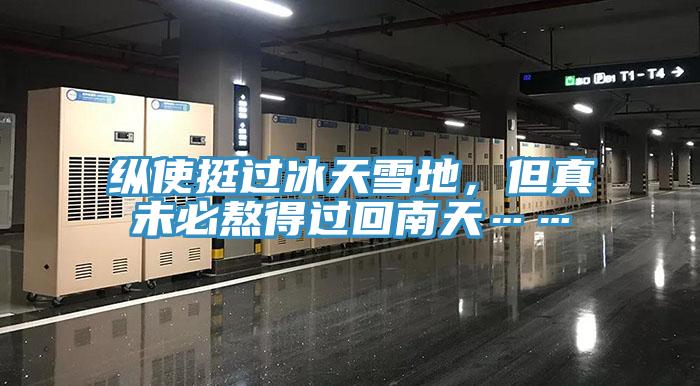 縱使挺過冰天雪地，但真未必熬得過回南天……