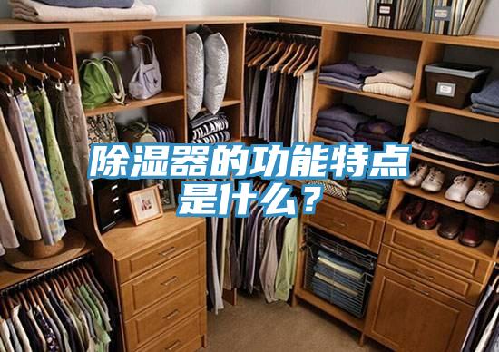 除濕器的功能特點(diǎn)是什么？