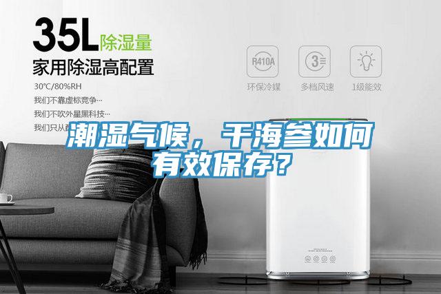 潮濕氣候，干海參如何有效保存？