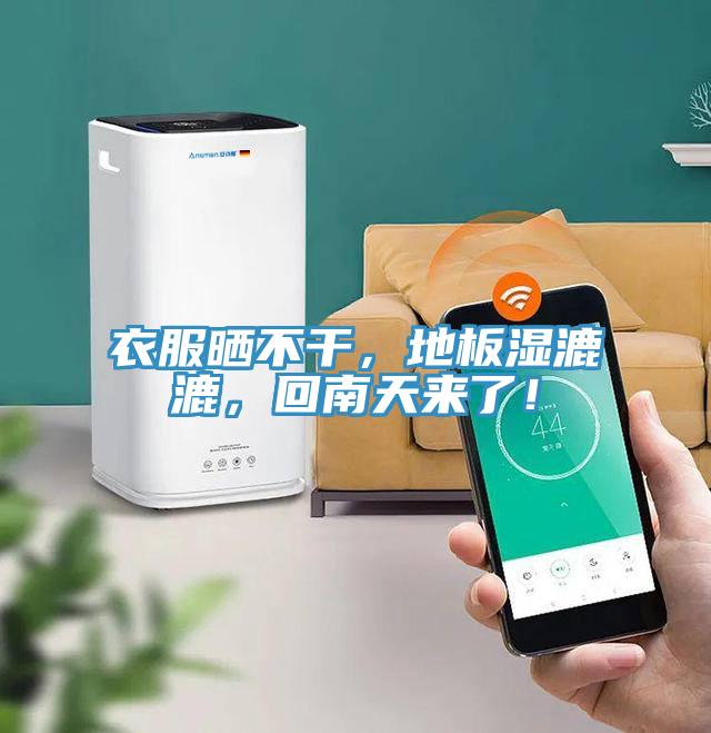 衣服曬不干，地板濕漉漉，回南天來了！