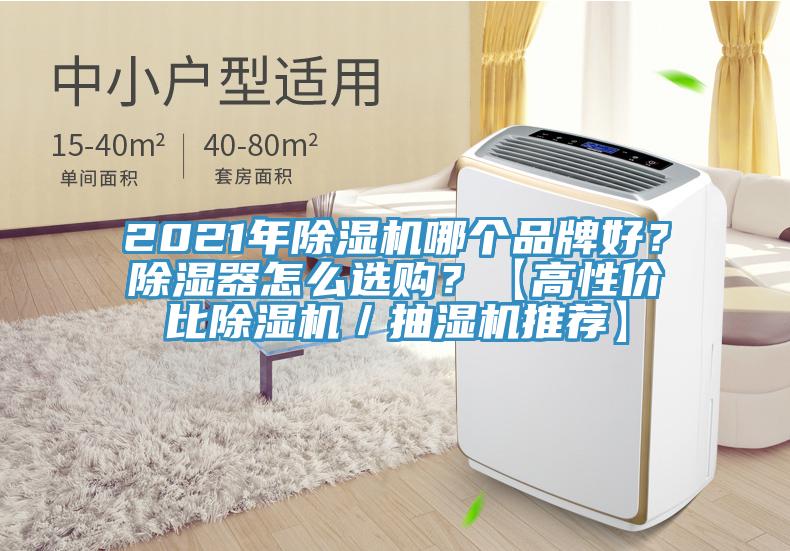 2021年除濕機(jī)哪個(gè)品牌好？除濕器怎么選購(gòu)？【高性價(jià)比除濕機(jī)／抽濕機(jī)推薦】