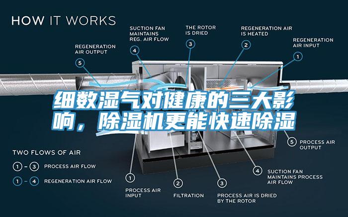 細數(shù)濕氣對健康的三大影響，除濕機更能快速除濕