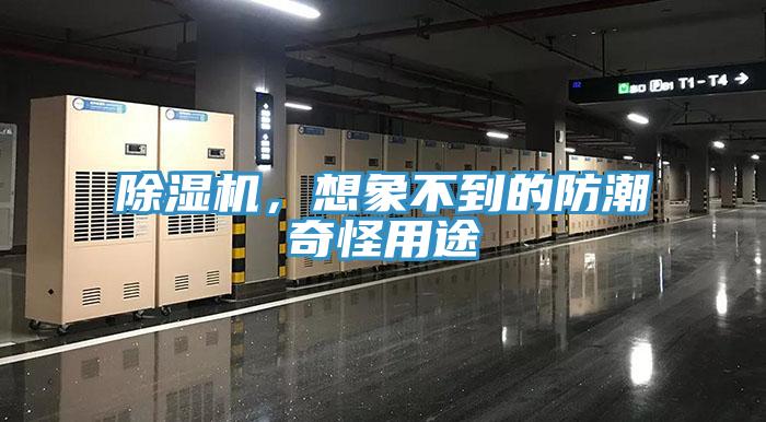 除濕機，想象不到的防潮奇怪用途