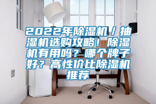 2022年除濕機(jī)／抽濕機(jī)選購(gòu)攻略！除濕機(jī)有用嗎？哪個(gè)牌子好？高性價(jià)比除濕機(jī)推薦