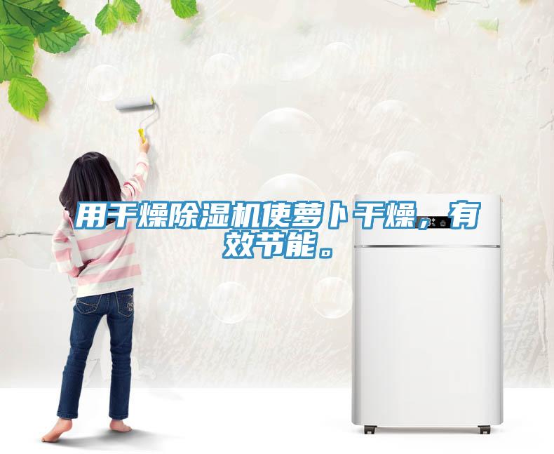 用干燥除濕機使蘿卜干燥，有效節(jié)能。