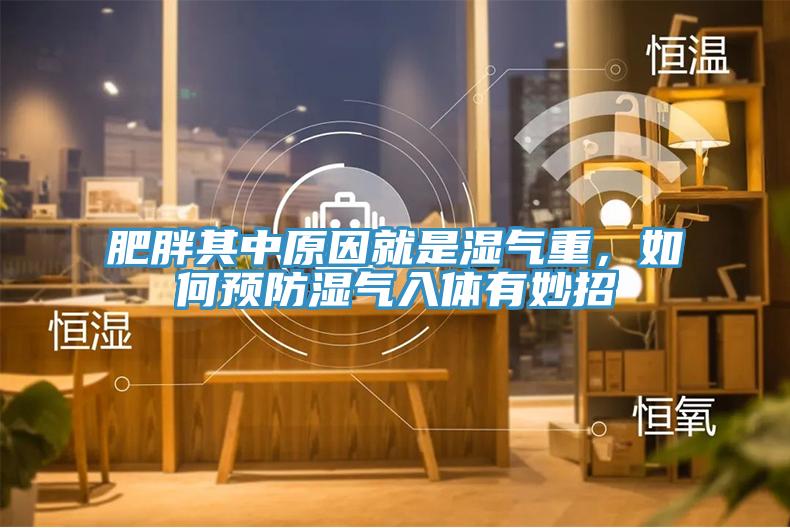 肥胖其中原因就是濕氣重，如何預(yù)防濕氣入體有妙招