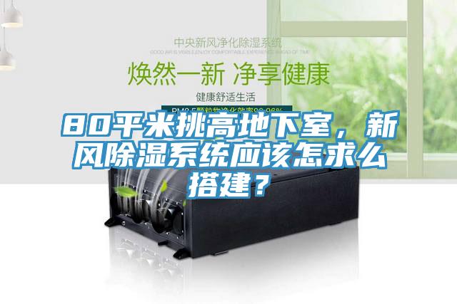 80平米挑高地下室，新風(fēng)除濕系統(tǒng)應(yīng)該怎求么搭建？