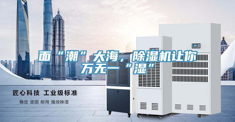 面“潮”大海，除濕機(jī)讓你萬無一“濕”