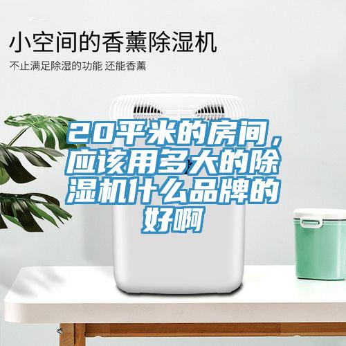 20平米的房間，應該用多大的除濕機什么品牌的好啊