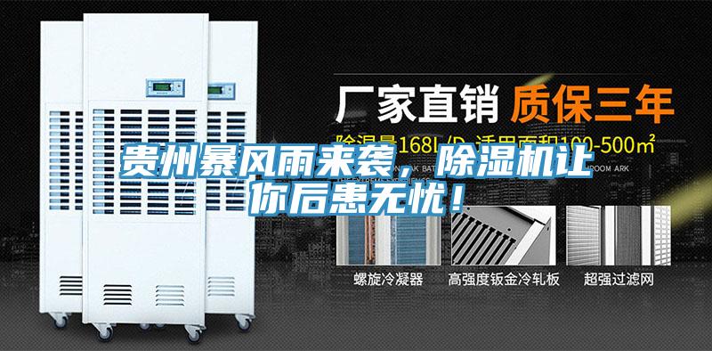 貴州暴風(fēng)雨來襲，除濕機(jī)讓你后患無憂！