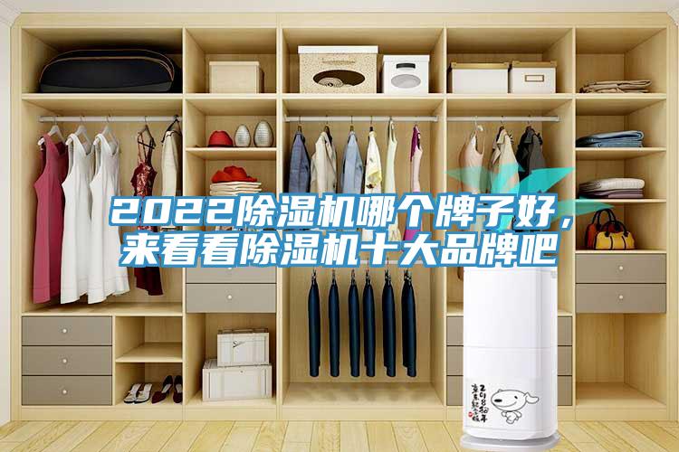2022除濕機(jī)哪個(gè)牌子好，來(lái)看看除濕機(jī)十大品牌吧