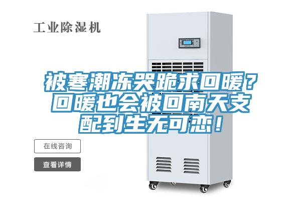 被寒潮凍哭跪求回暖？回暖也會被回南天支配到生無可戀！