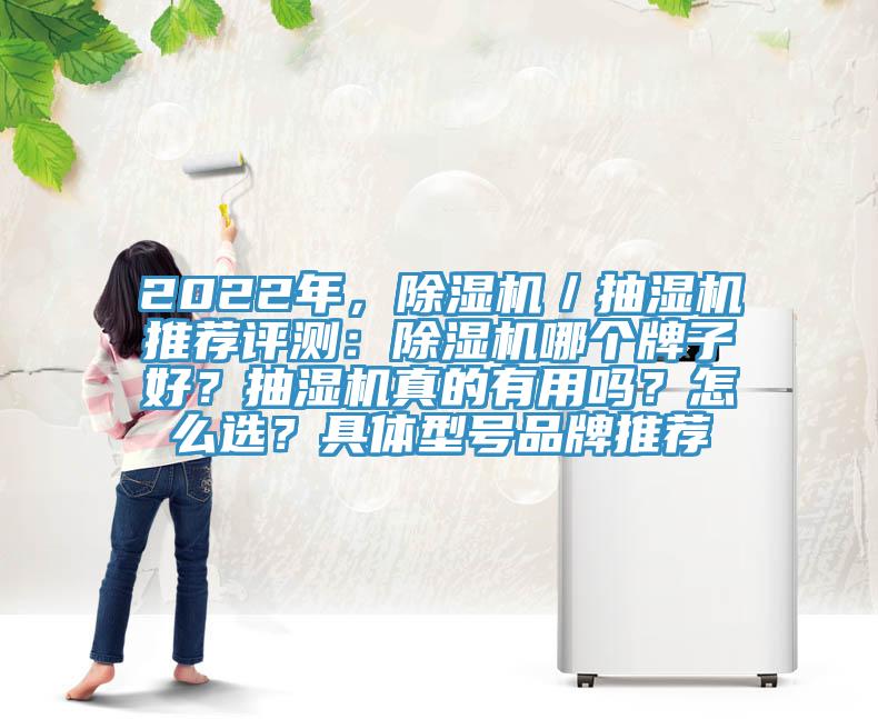 2022年，除濕機(jī)／抽濕機(jī)推薦評(píng)測(cè)：除濕機(jī)哪個(gè)牌子好？抽濕機(jī)真的有用嗎？怎么選？具體型號(hào)品牌推薦