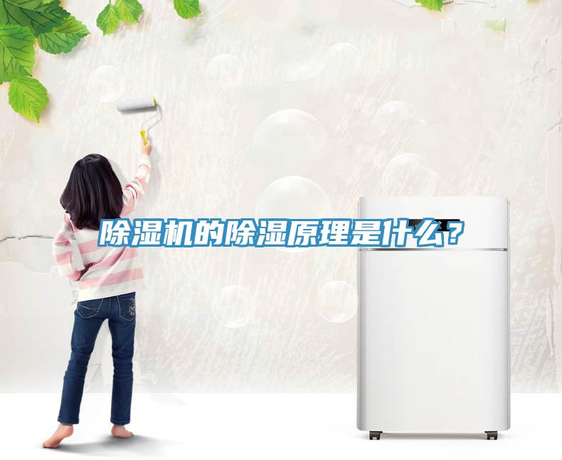 除濕機(jī)的除濕原理是什么？