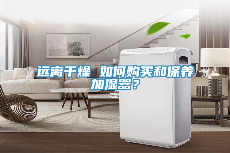 遠離干燥 如何購買和保養(yǎng)加濕器？