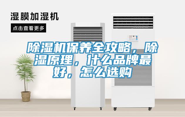 除濕機(jī)保養(yǎng)全攻略，除濕原理，什么品牌最好，怎么選購