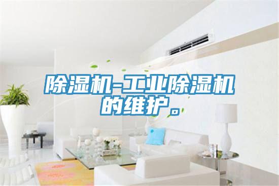 除濕機-工業(yè)除濕機的維護。