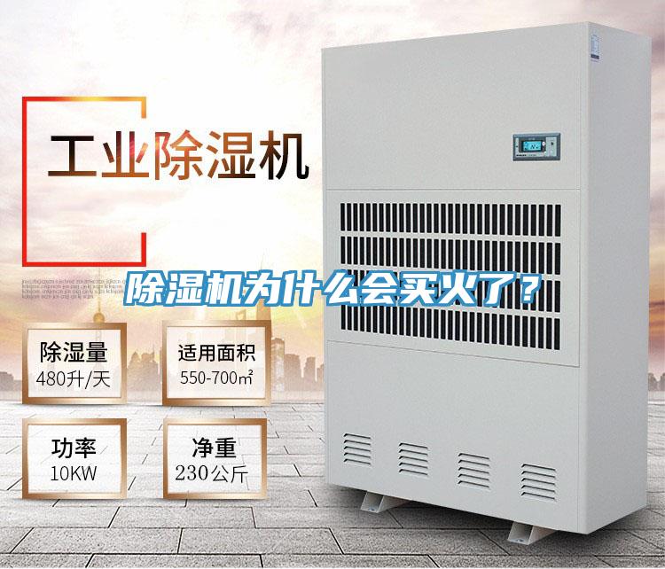除濕機為什么會買火了？