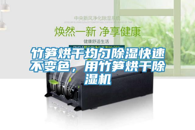 竹筍烘干均勻除濕快速不變色，用竹筍烘干除濕機(jī)