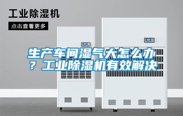生產(chǎn)車間濕氣大怎么辦？工業(yè)除濕機(jī)有效解決