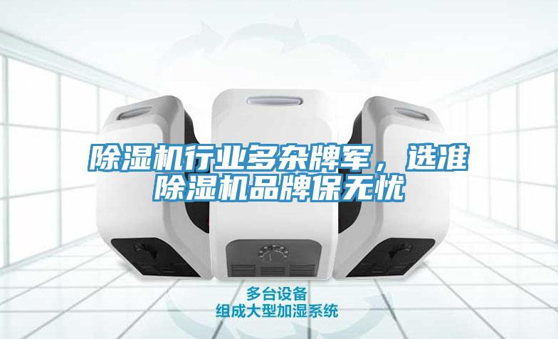 除濕機(jī)行業(yè)多雜牌軍，選準(zhǔn)除濕機(jī)品牌保無憂
