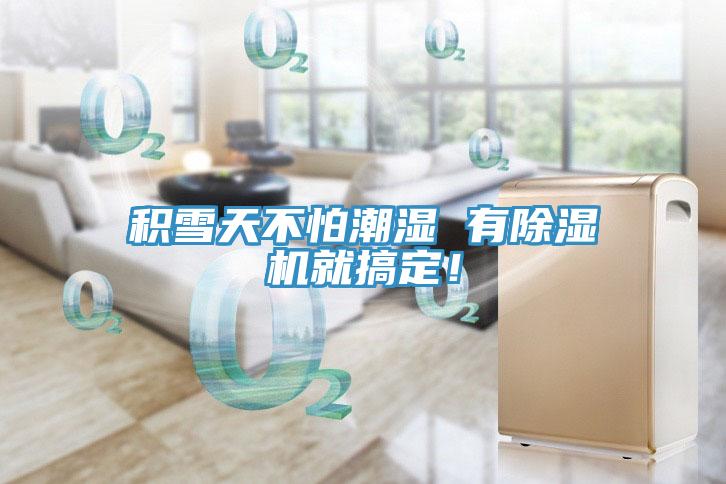 積雪天不怕潮濕 有除濕機(jī)就搞定！