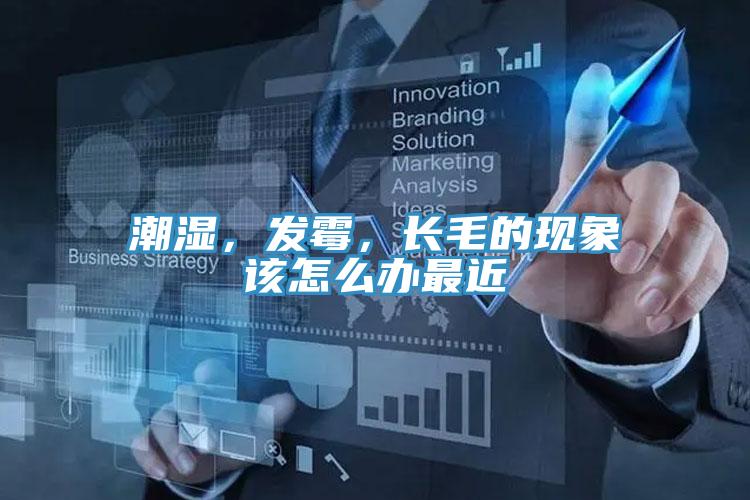 潮濕，發(fā)霉，長毛的現(xiàn)象該怎么辦最近