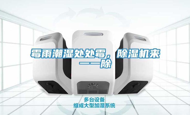 霉雨潮濕處處霉，除濕機(jī)來(lái)一一除