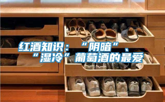 紅酒知識：“陰暗”、“濕冷”葡萄酒的最愛